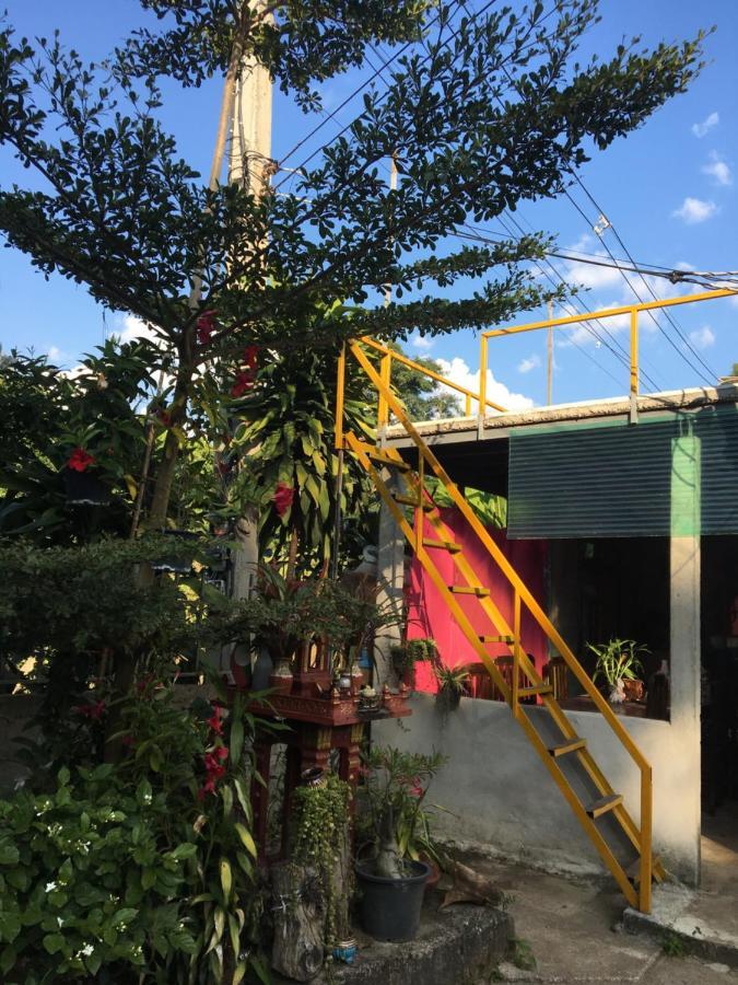 Thong Family Homestay Chiangdao 清佬 外观 照片