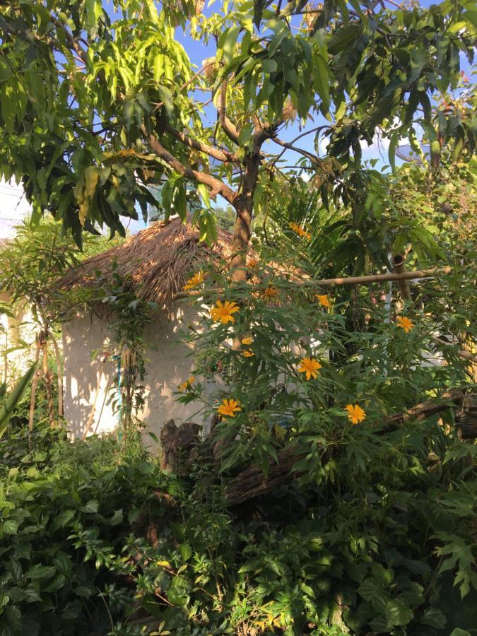 Thong Family Homestay Chiangdao 清佬 外观 照片